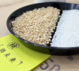 精米前後的酒米（酒未來）