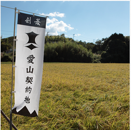 劍菱的愛山契約田
