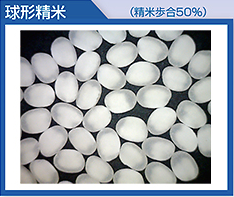 球形精米後的酒米