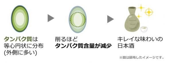 精米的目的日文示意圖