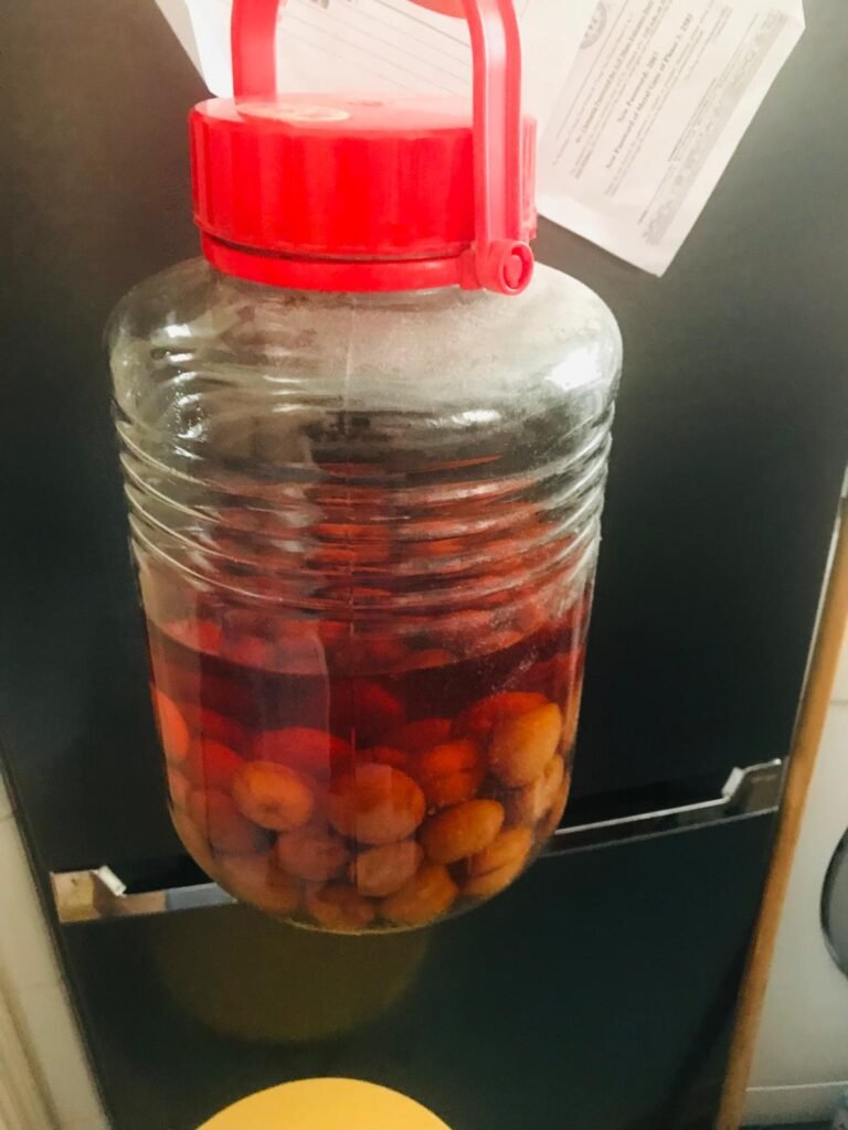 10L、8L 的自釀梅酒，不可能放進雪櫃