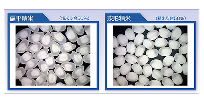 經扁平精米與球型精米後的酒米
